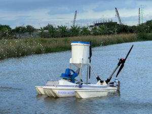 20103418575019244511