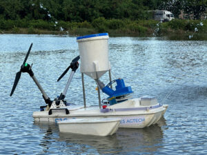 354923818817757652427