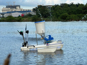 426299096977175586118