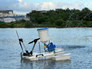 78687746812941808222